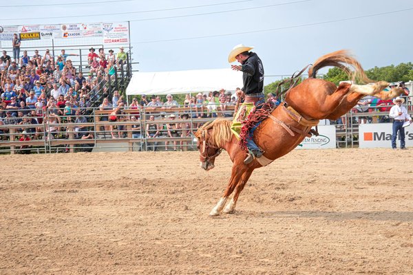 Conseils sport à la maison : entraînements courts et efficaces