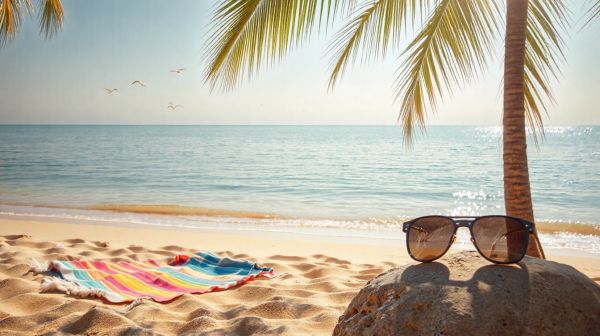7 conseils pour plonger en toute sécurité et profiter
